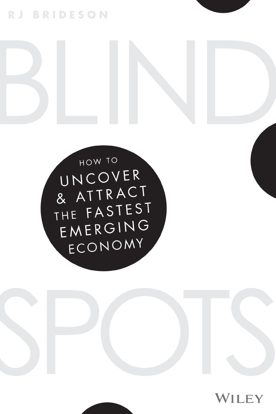 Blind Spots: How to Uncover and Attract the Fastest Emerging Economy