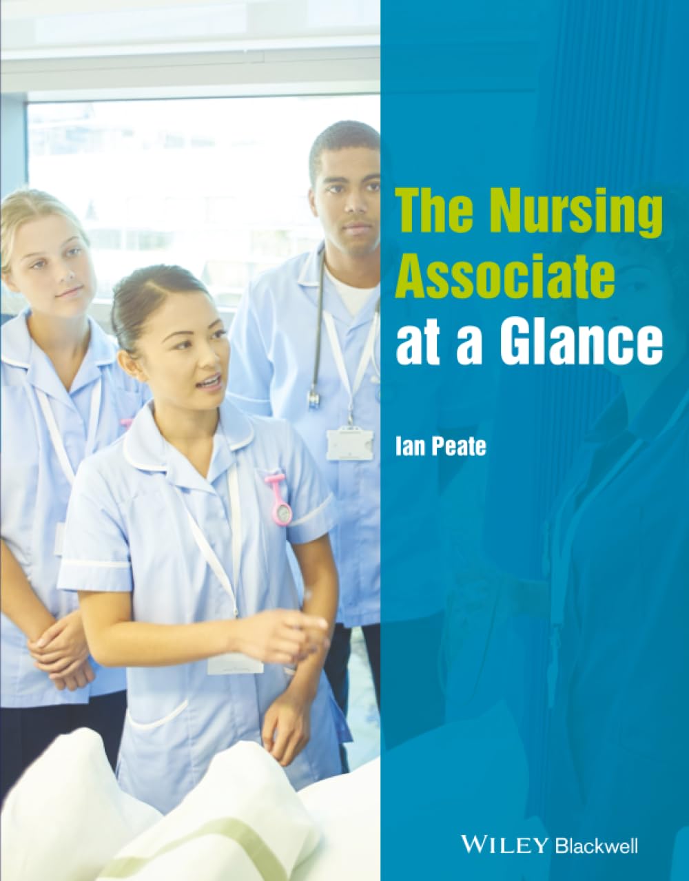 The Nursing Associate at a Glance
