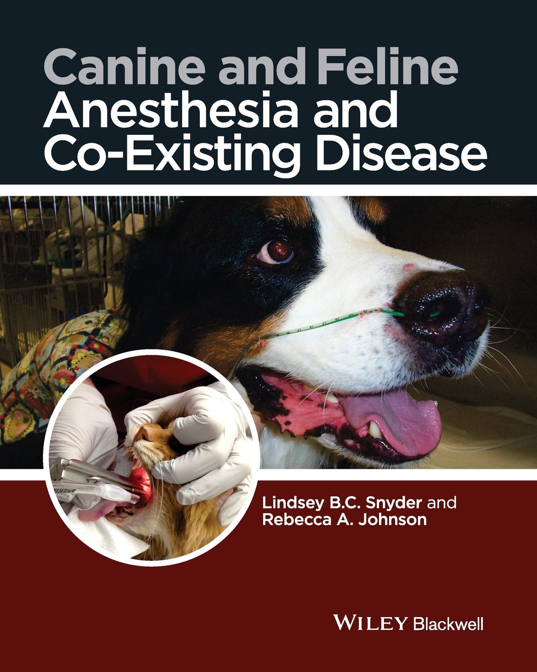 Canine and Feline Anesthesia and Co-Existing Disease