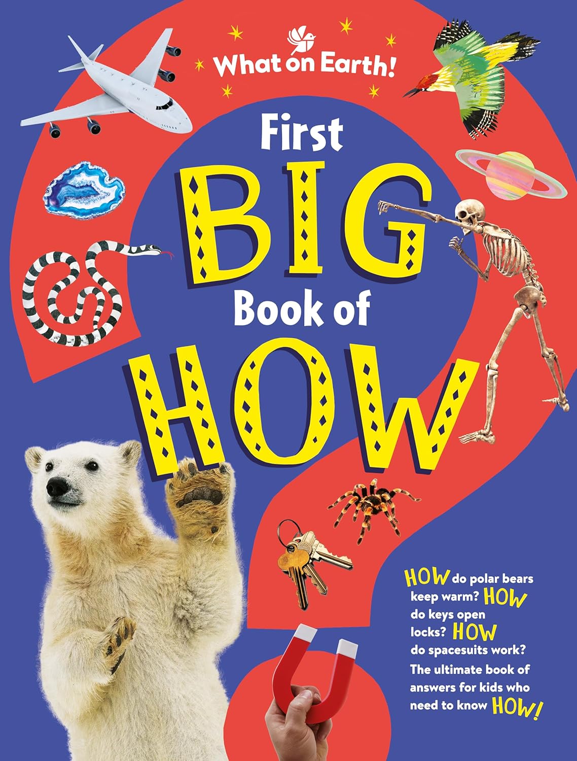 First Big Book of How