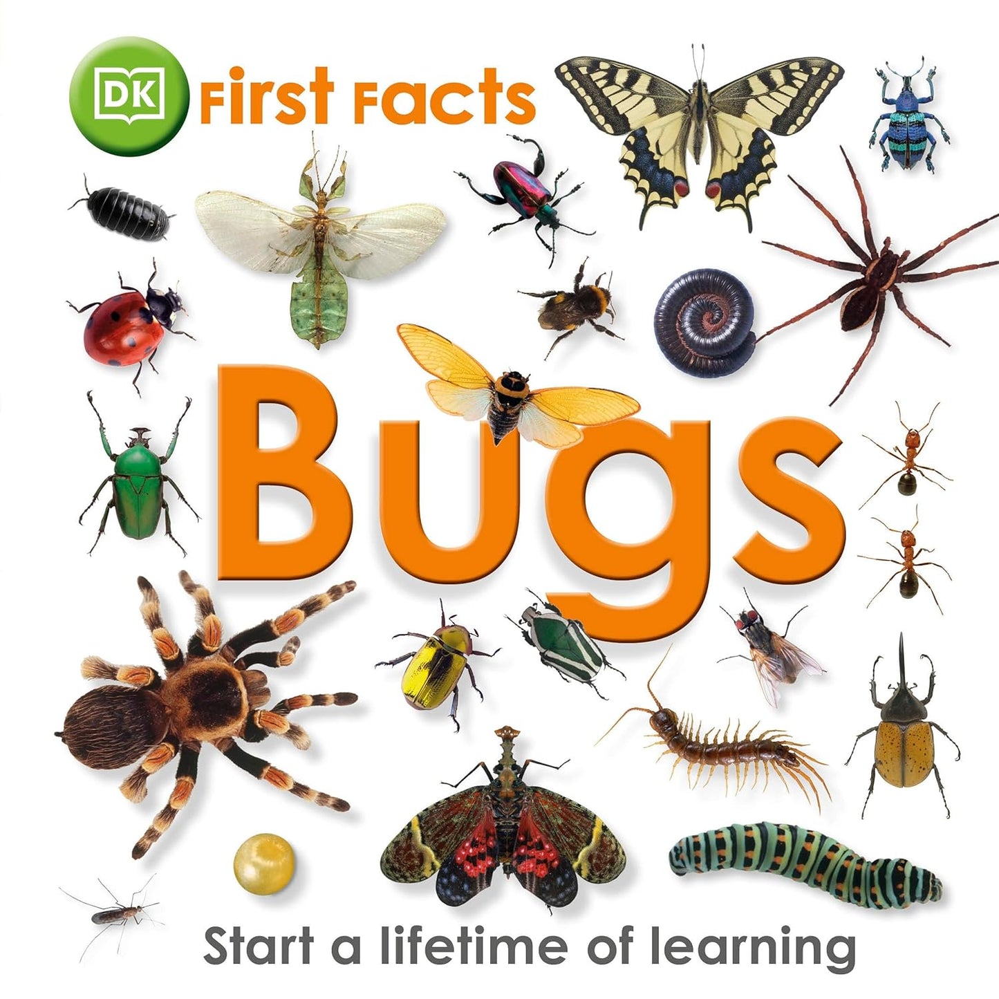 First Facts: Bugs