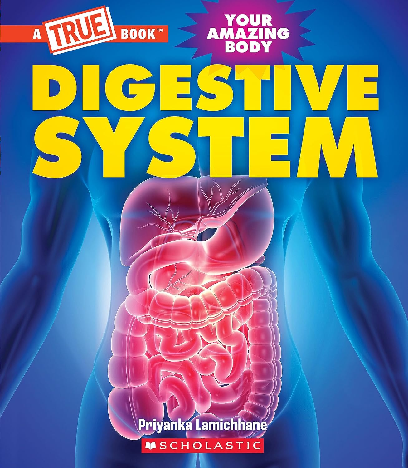 Digestive System
