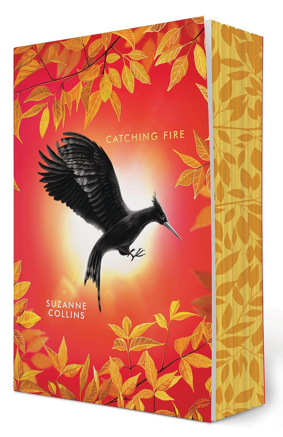 Catching Fire (Deluxe Edition)