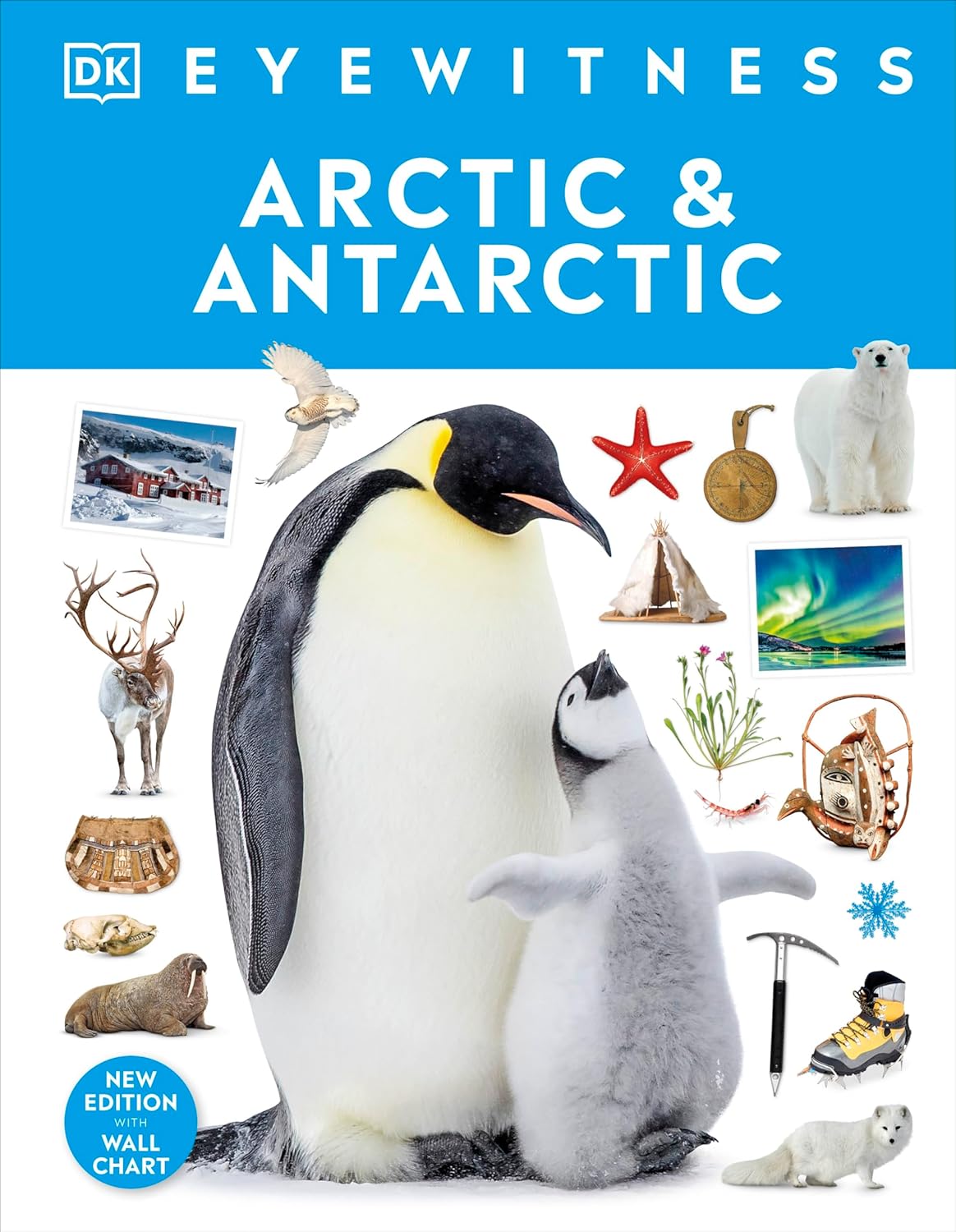 Arctic and Antarctic (DK Eyewitness)