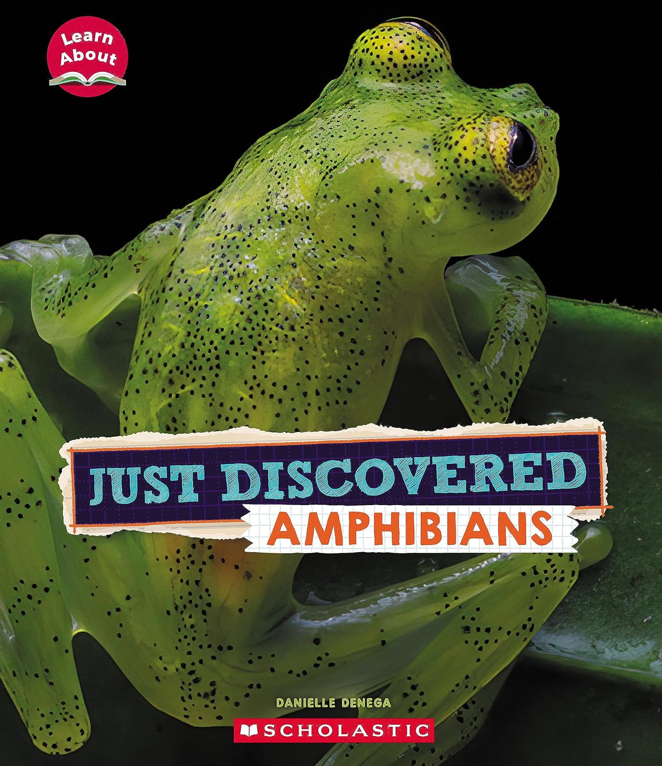 Learn About: Just Discovered Amphibians