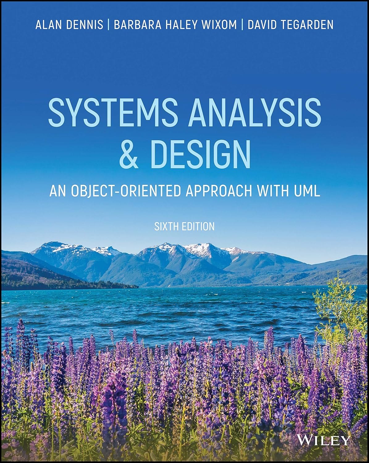 Systems Analysis and Design with UML