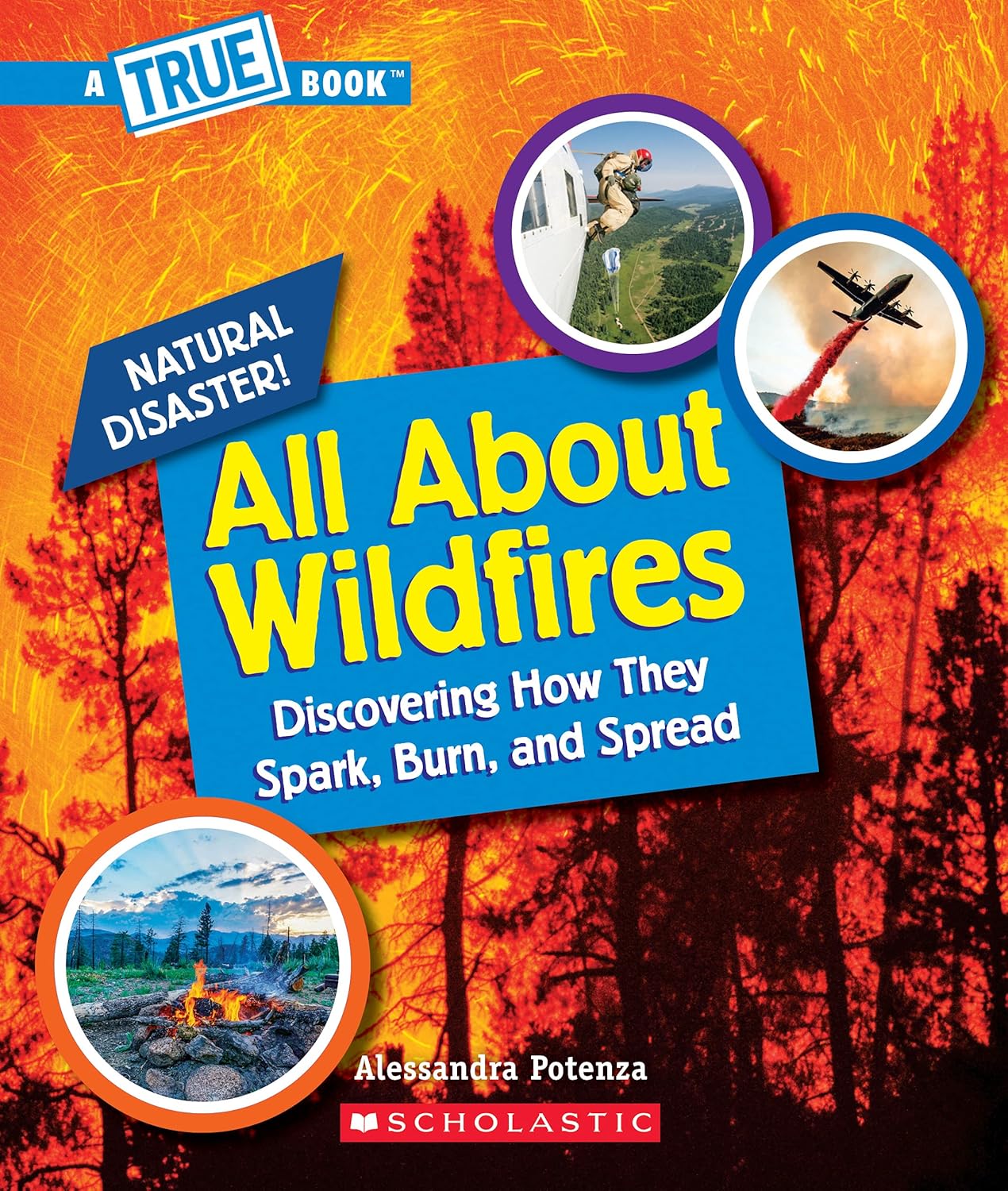 All about Wildfires