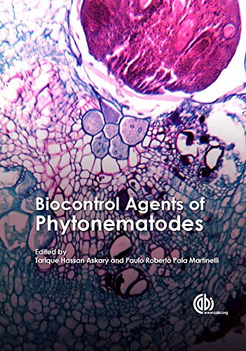 Biocontrol Agents of Phytonematodes