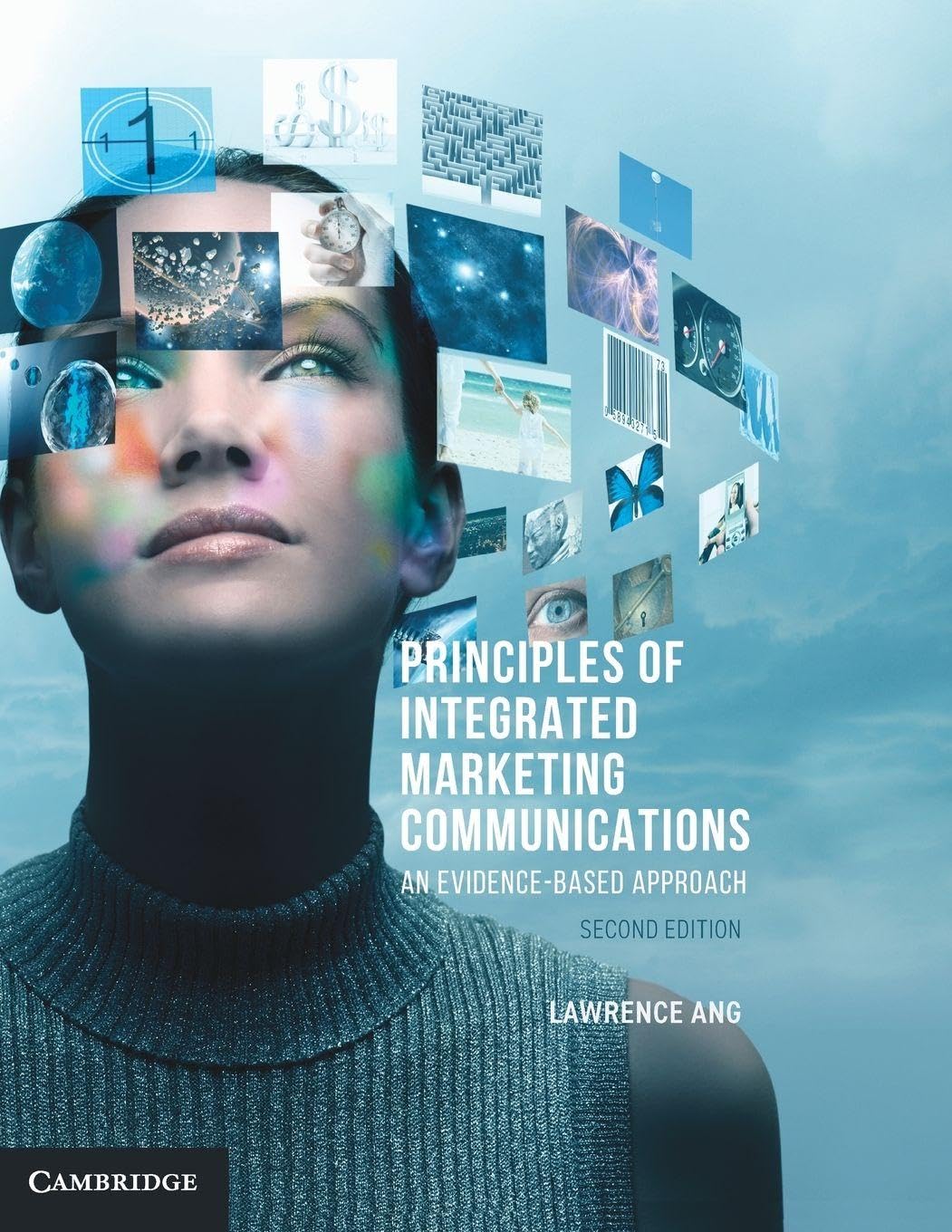 Principles of Integrated Marketing Communications: An Evidence-based Approach