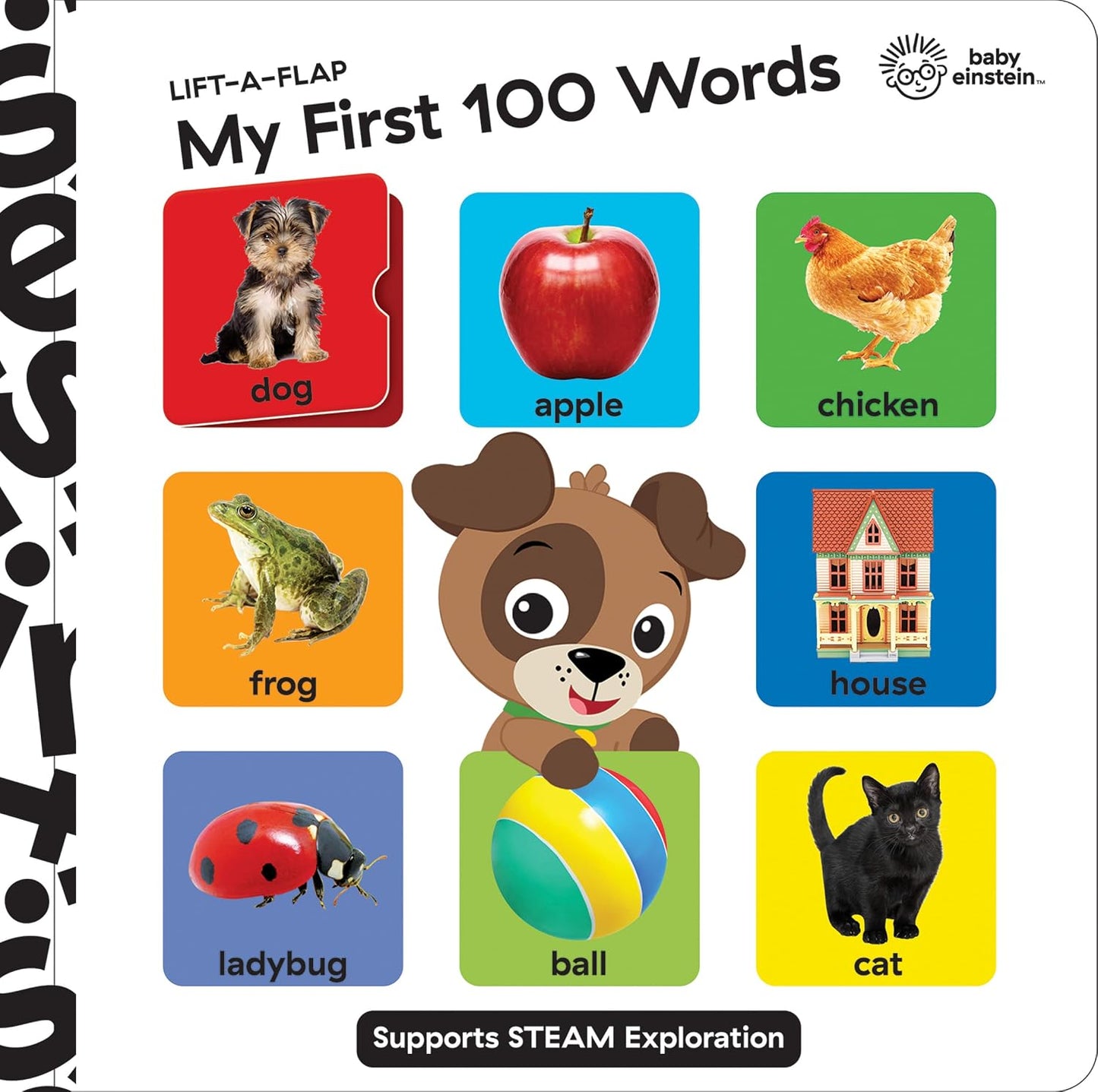 Baby Einstein - My First 100 Words Lift-a-Flap