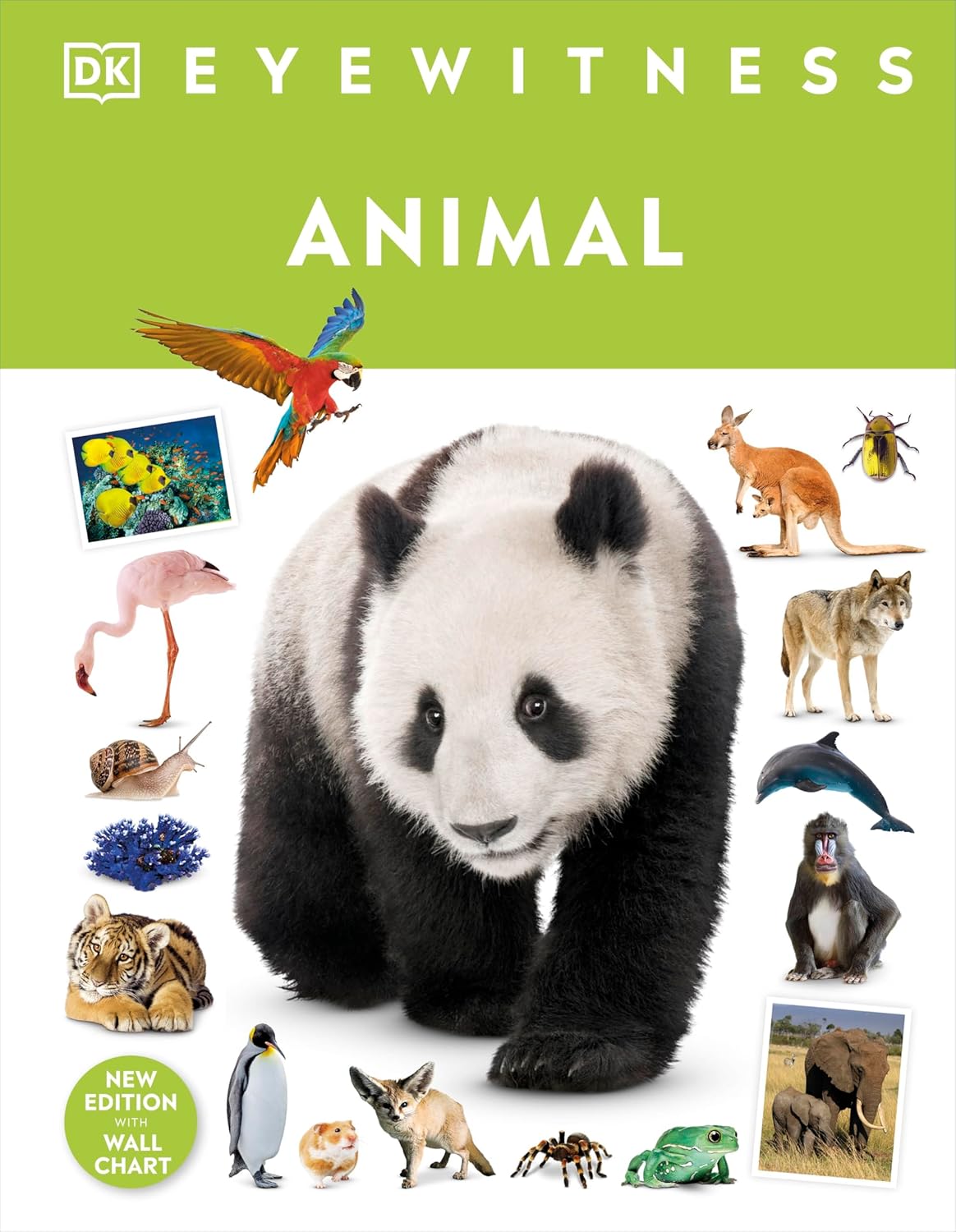 Animal: DK Eyewitness