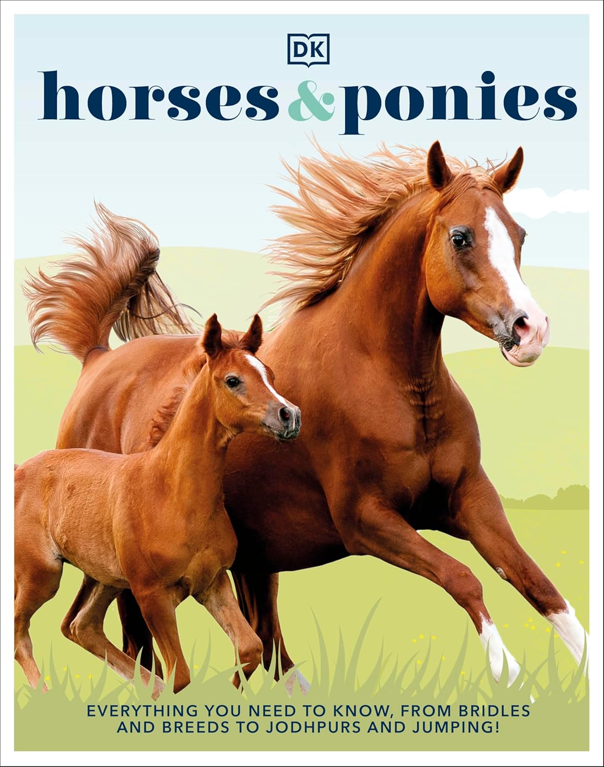 Horses & Ponies: Everything You Need to Know, From Bridles and Breeds to Jodhpurs and Jumping!