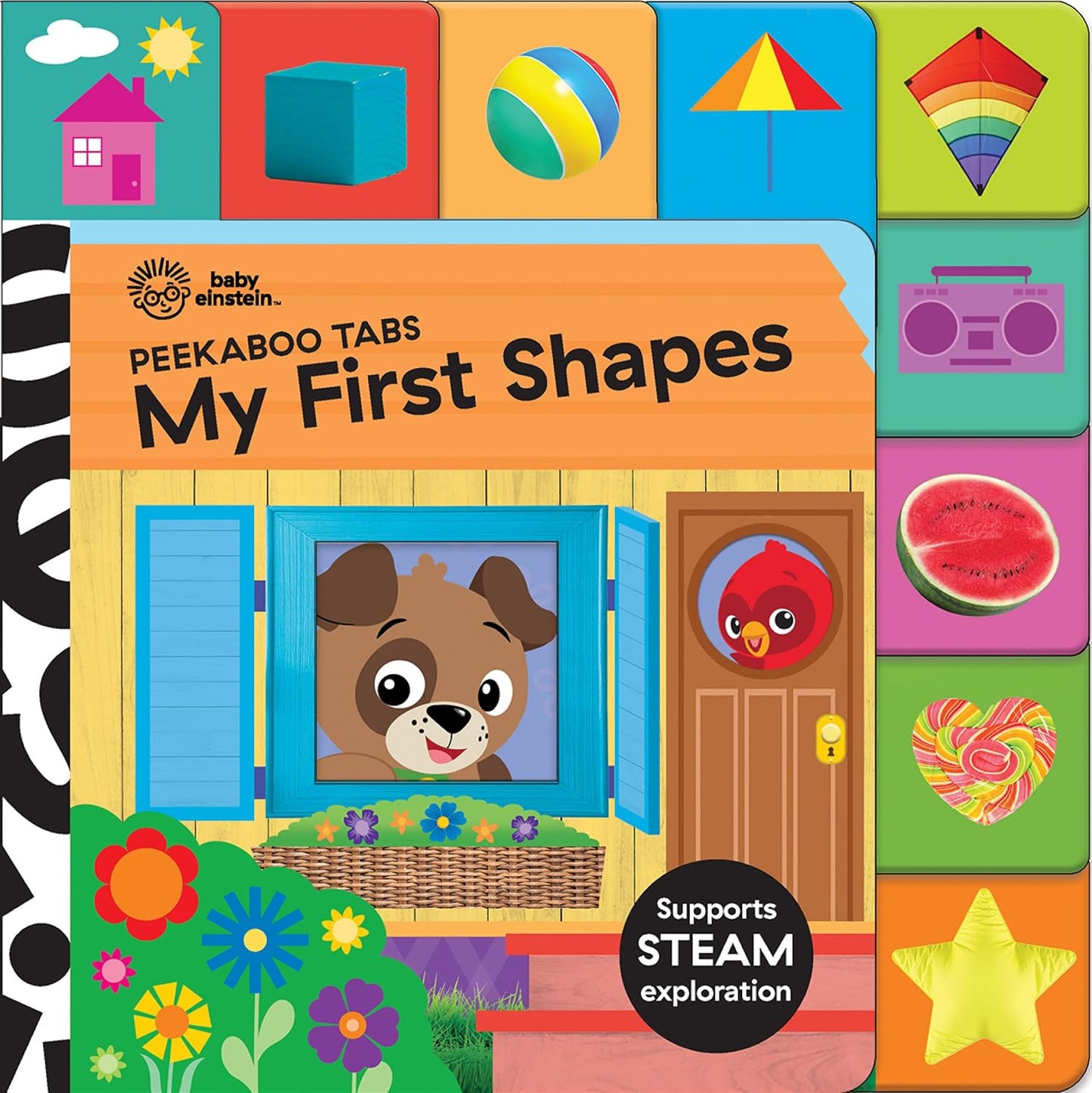 Baby Einstein - My First Shapes