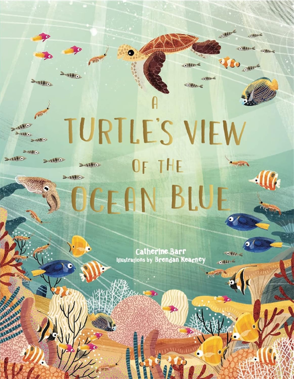 A Turtle's View of the Ocean Blue