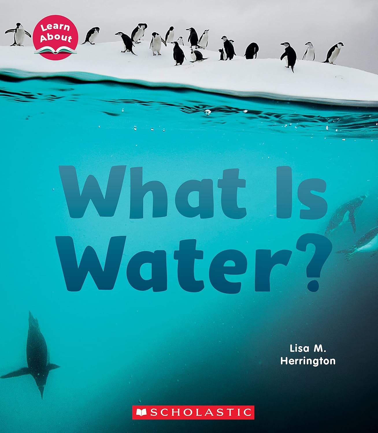 Learn About: What Is Water?