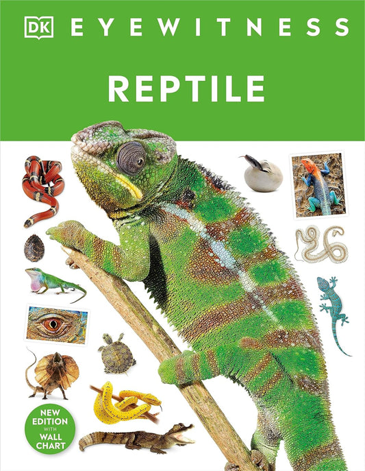 Reptile (DK Eyewitness)