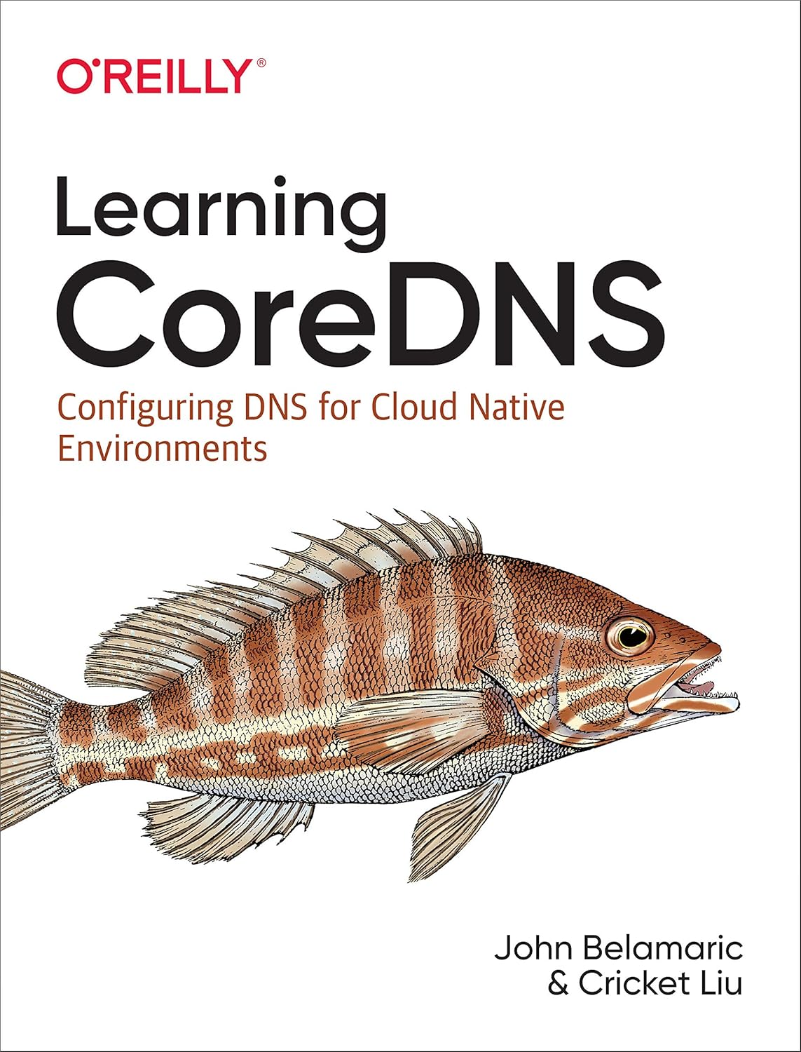Learning CoreDNS: Configuring DNS for Cloud Native Environme