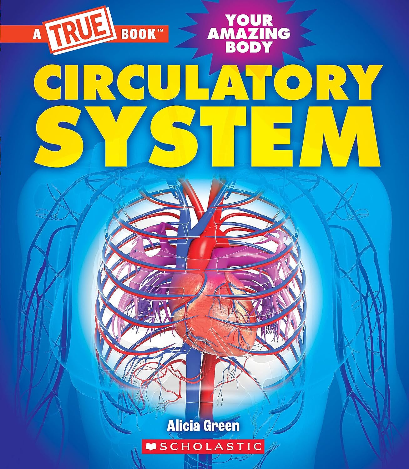 Circulatory System