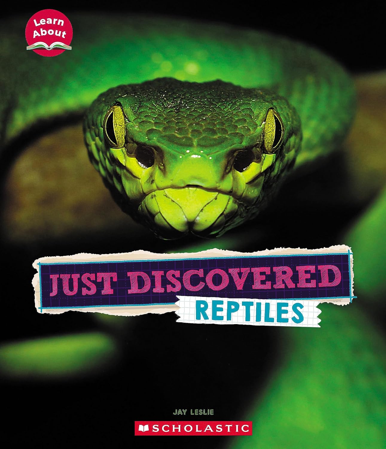 Learn About: Just Discovered Reptiles