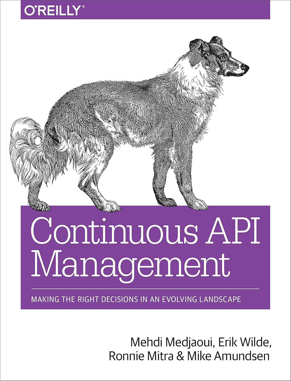 Continuous API Management: Making the Right Decisions in an