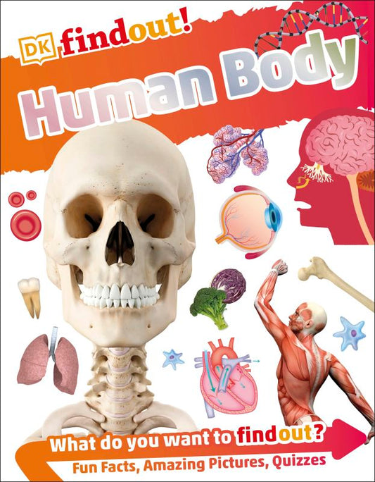 Human Body (DKfindout!)