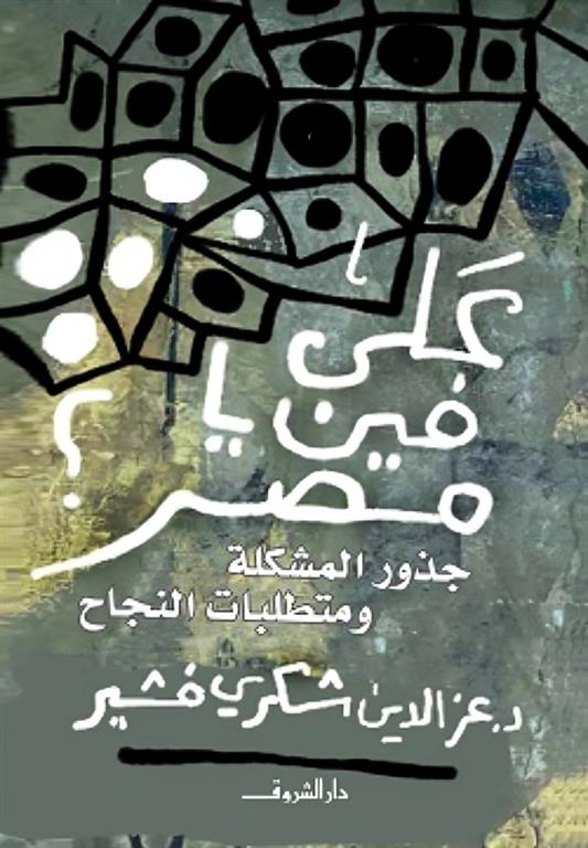 على فين يامصر: جذور المشكلة ومتطلبات النجاح
